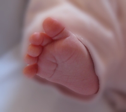 Une p'tite présentation rapide